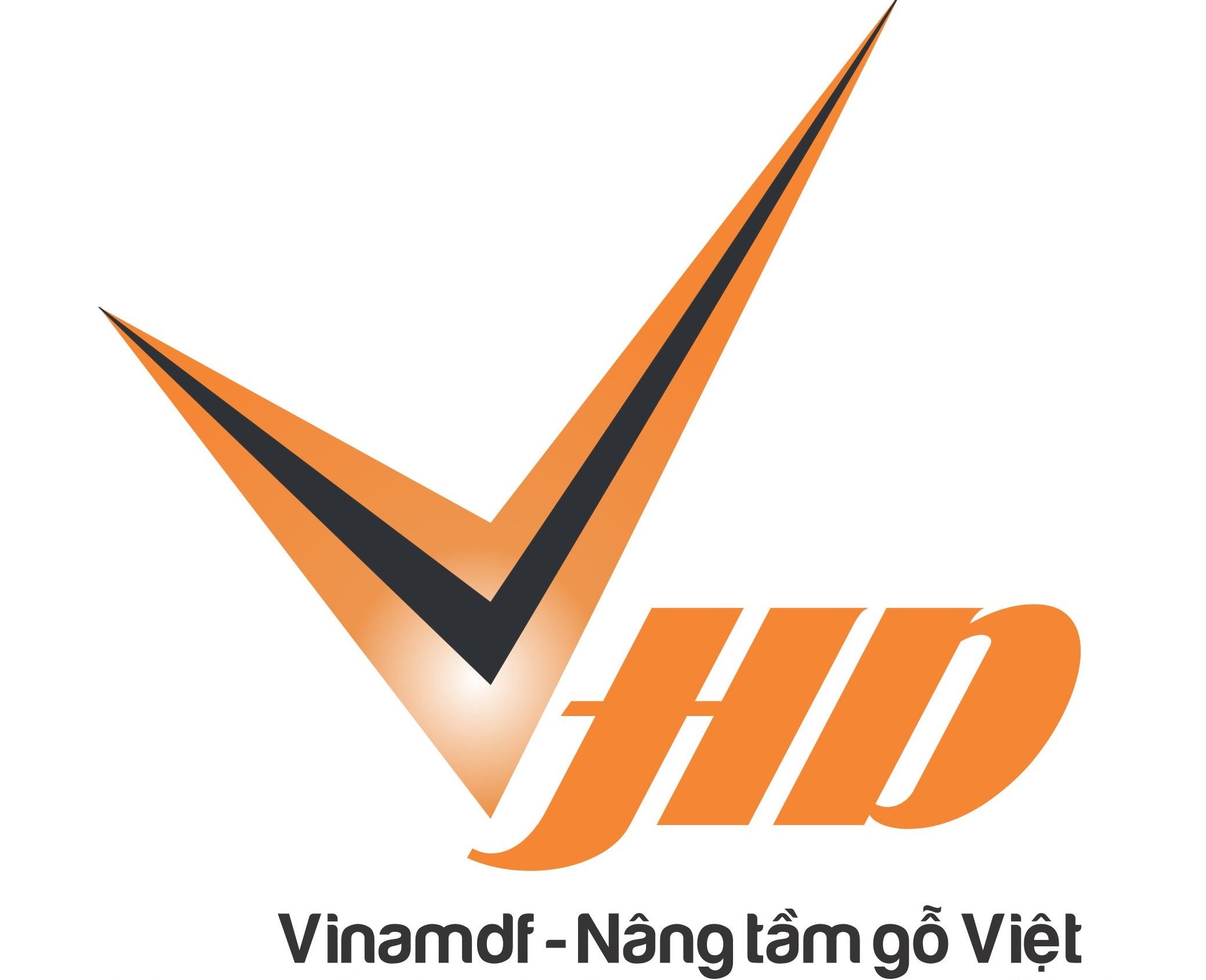 lĩnh vực hoạt động